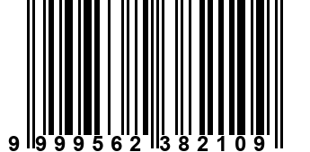 9999562382109