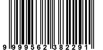 9999562382291