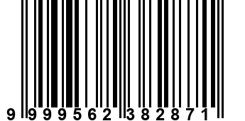 9999562382871