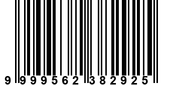9999562382925