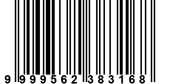 9999562383168