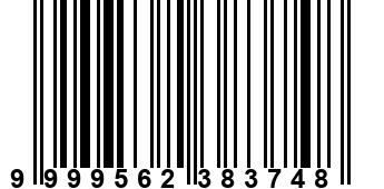 9999562383748
