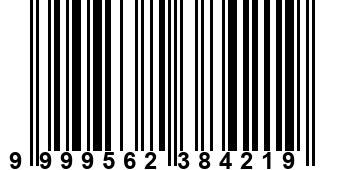 9999562384219