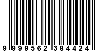 9999562384424