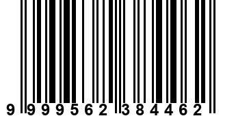 9999562384462