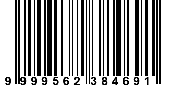 9999562384691