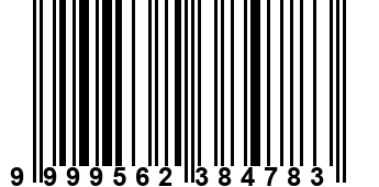 9999562384783