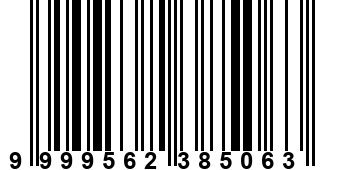 9999562385063