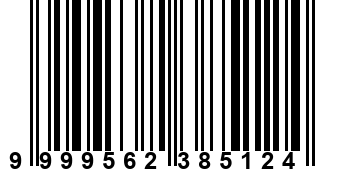 9999562385124