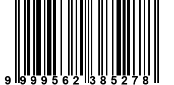 9999562385278