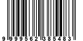 9999562385483