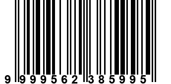 9999562385995