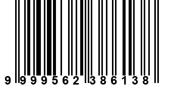 9999562386138