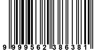 9999562386381