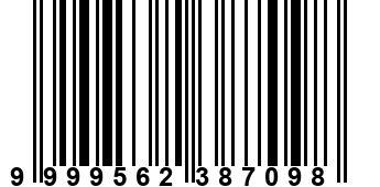 9999562387098