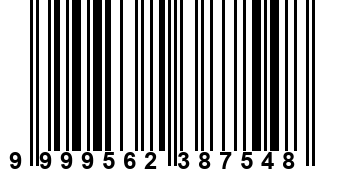 9999562387548