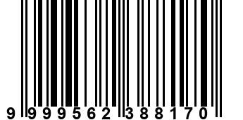 9999562388170