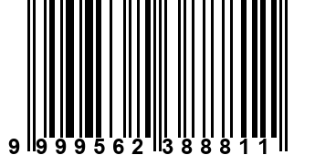 9999562388811