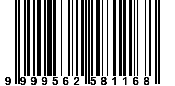 9999562581168