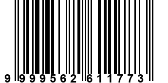 9999562611773