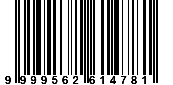9999562614781