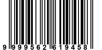 9999562619458