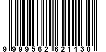 9999562621130
