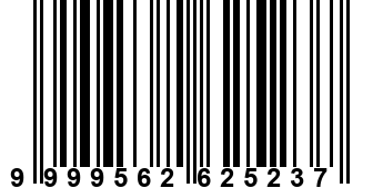 9999562625237