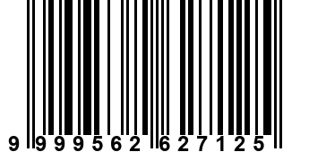 9999562627125