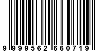 9999562660719