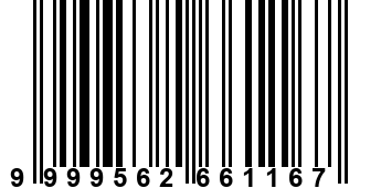 9999562661167