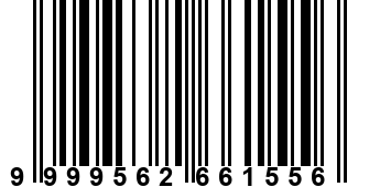 9999562661556