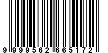 9999562665172