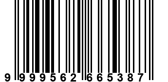 9999562665387