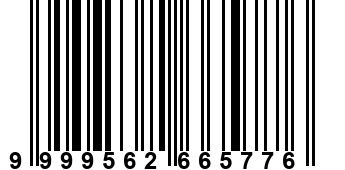 9999562665776