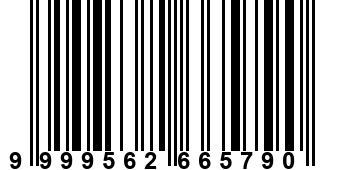 9999562665790
