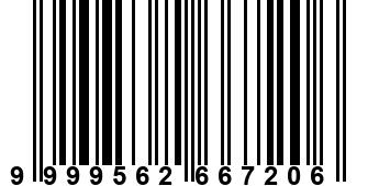 9999562667206