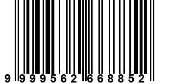 9999562668852