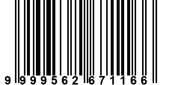 9999562671166