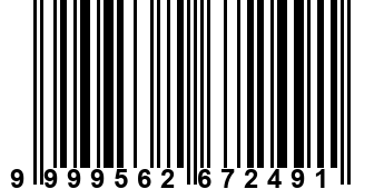 9999562672491