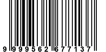 9999562677137