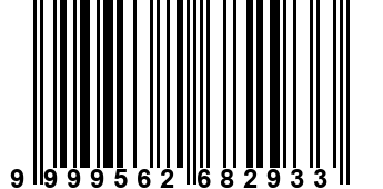 9999562682933