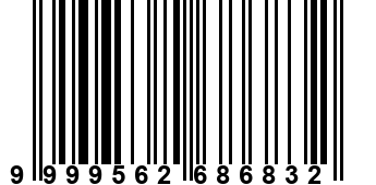9999562686832