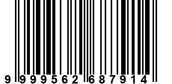9999562687914