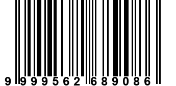 9999562689086