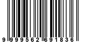 9999562691836