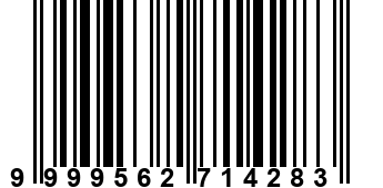 9999562714283