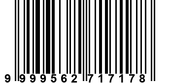 9999562717178