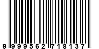 9999562718137