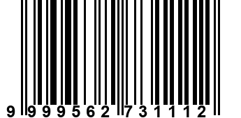 9999562731112